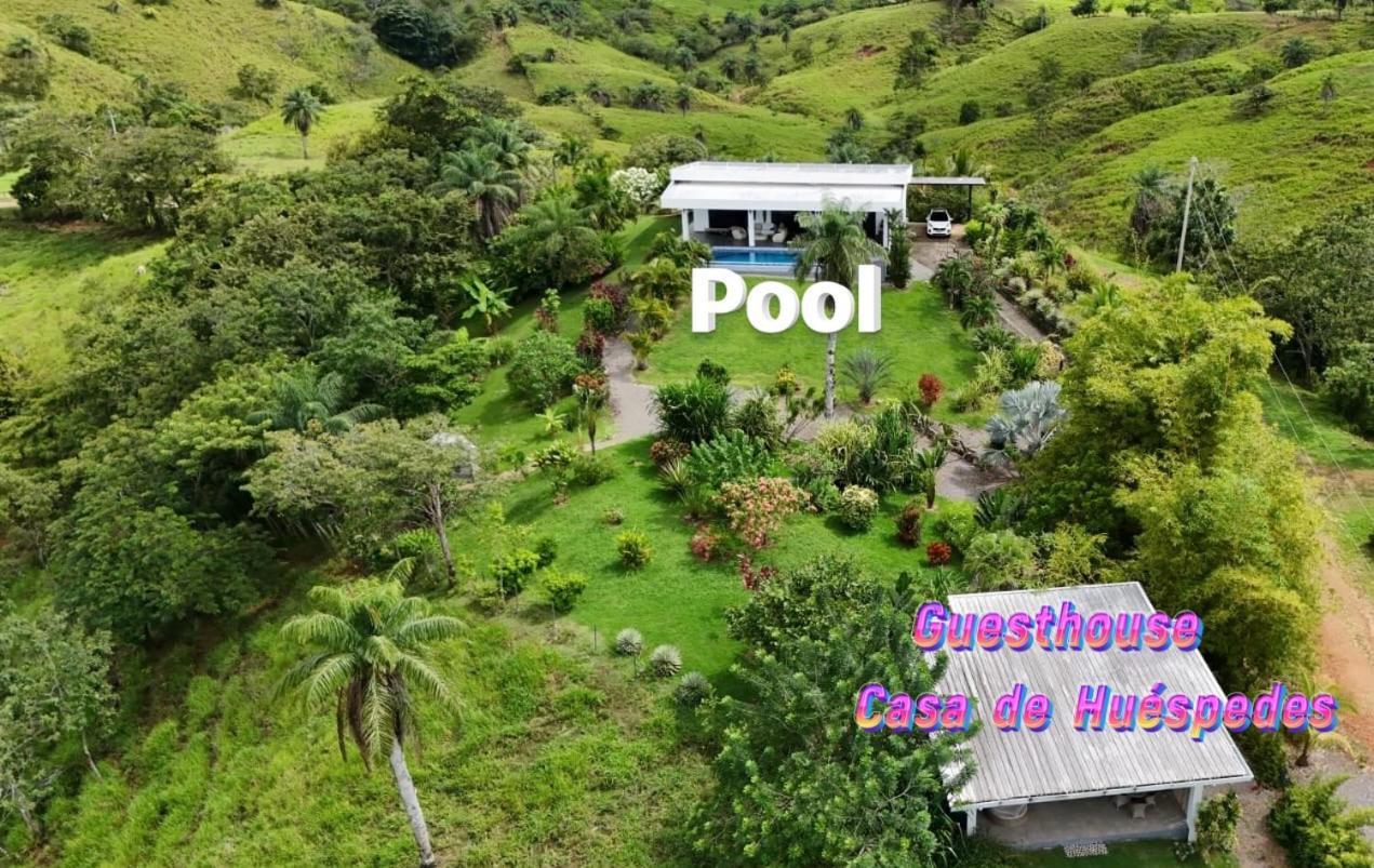 Finca Colibri Boca Chica Exterior photo